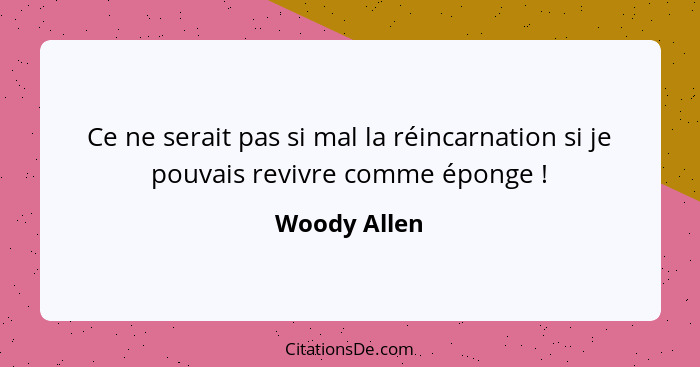 Ce ne serait pas si mal la réincarnation si je pouvais revivre comme éponge !... - Woody Allen