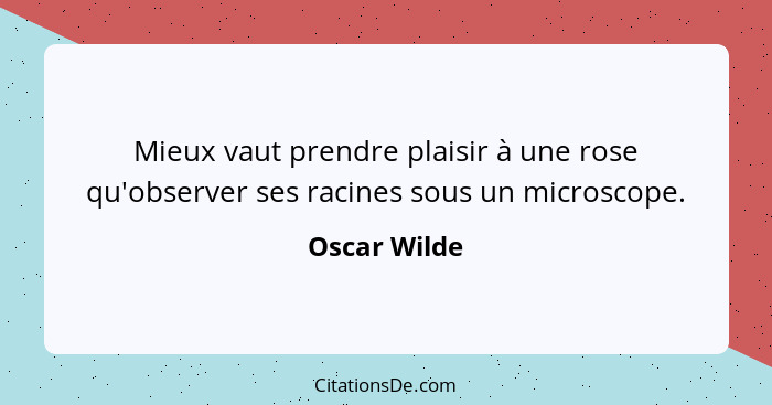 Mieux vaut prendre plaisir à une rose qu'observer ses racines sous un microscope.... - Oscar Wilde