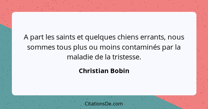 A part les saints et quelques chiens errants, nous sommes tous plus ou moins contaminés par la maladie de la tristesse.... - Christian Bobin