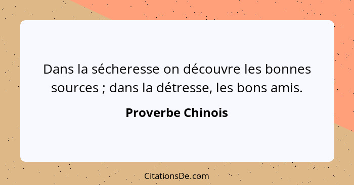 Dans la sécheresse on découvre les bonnes sources ; dans la détresse, les bons amis.... - Proverbe Chinois