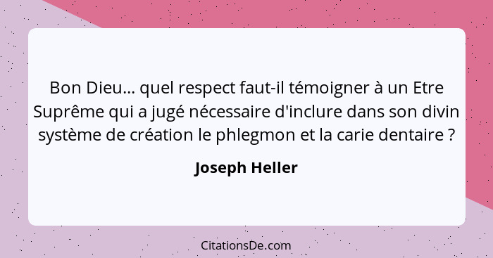 Bon Dieu... quel respect faut-il témoigner à un Etre Suprême qui a jugé nécessaire d'inclure dans son divin système de création le phl... - Joseph Heller