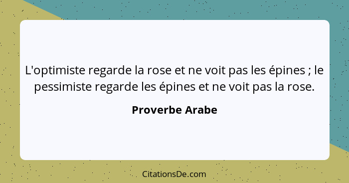 L'optimiste regarde la rose et ne voit pas les épines ; le pessimiste regarde les épines et ne voit pas la rose.... - Proverbe Arabe