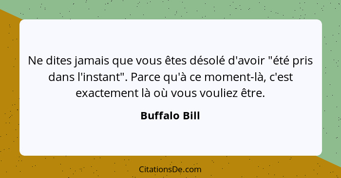 Ne dites jamais que vous êtes désolé d'avoir "été pris dans l'instant". Parce qu'à ce moment-là, c'est exactement là où vous vouliez êt... - Buffalo Bill