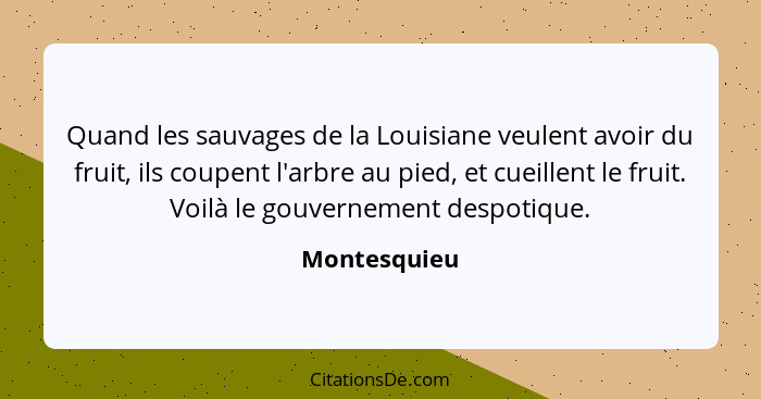 Quand les sauvages de la Louisiane veulent avoir du fruit, ils coupent l'arbre au pied, et cueillent le fruit. Voilà le gouvernement des... - Montesquieu