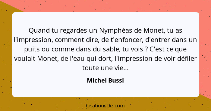 Quand tu regardes un Nymphéas de Monet, tu as l'impression, comment dire, de t'enfoncer, d'entrer dans un puits ou comme dans du sable,... - Michel Bussi