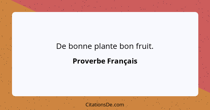 De bonne plante bon fruit.... - Proverbe Français