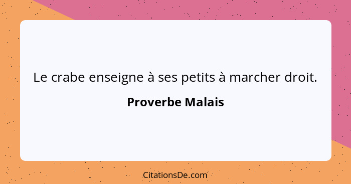 Le crabe enseigne à ses petits à marcher droit.... - Proverbe Malais