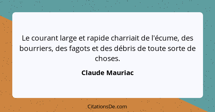 Le courant large et rapide charriait de l'écume, des bourriers, des fagots et des débris de toute sorte de choses.... - Claude Mauriac