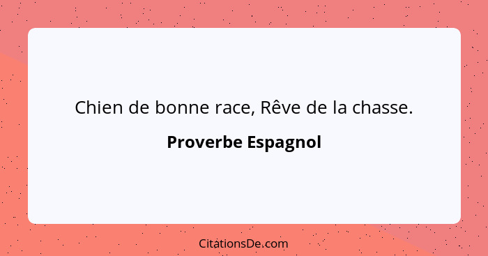 Chien de bonne race, Rêve de la chasse.... - Proverbe Espagnol