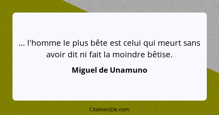 ... l'homme le plus bête est celui qui meurt sans avoir dit ni fait la moindre bêtise.... - Miguel de Unamuno