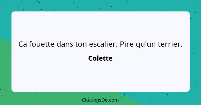 Ca fouette dans ton escalier. Pire qu'un terrier.... - Colette