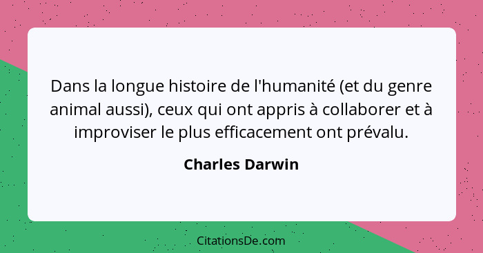 Dans la longue histoire de l'humanité (et du genre animal aussi), ceux qui ont appris à collaborer et à improviser le plus efficaceme... - Charles Darwin