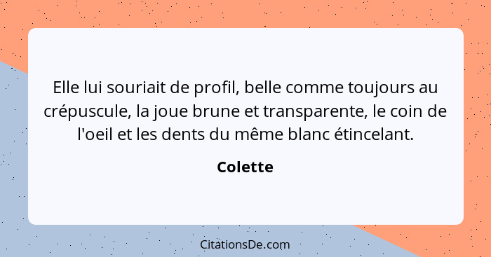 Elle lui souriait de profil, belle comme toujours au crépuscule, la joue brune et transparente, le coin de l'oeil et les dents du même blanc... - Colette