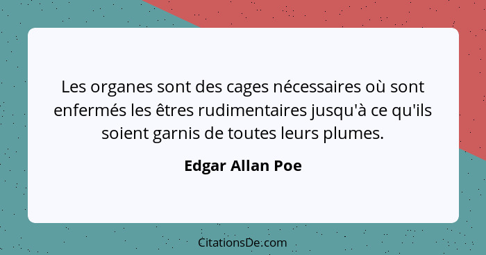 Les organes sont des cages nécessaires où sont enfermés les êtres rudimentaires jusqu'à ce qu'ils soient garnis de toutes leurs plum... - Edgar Allan Poe