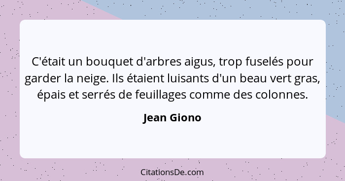 C'était un bouquet d'arbres aigus, trop fuselés pour garder la neige. Ils étaient luisants d'un beau vert gras, épais et serrés de feuill... - Jean Giono