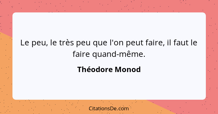 Le peu, le très peu que l'on peut faire, il faut le faire quand-même.... - Théodore Monod