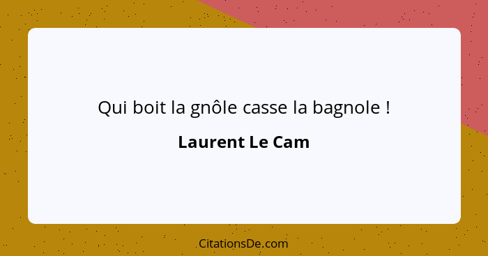 Qui boit la gnôle casse la bagnole !... - Laurent Le Cam