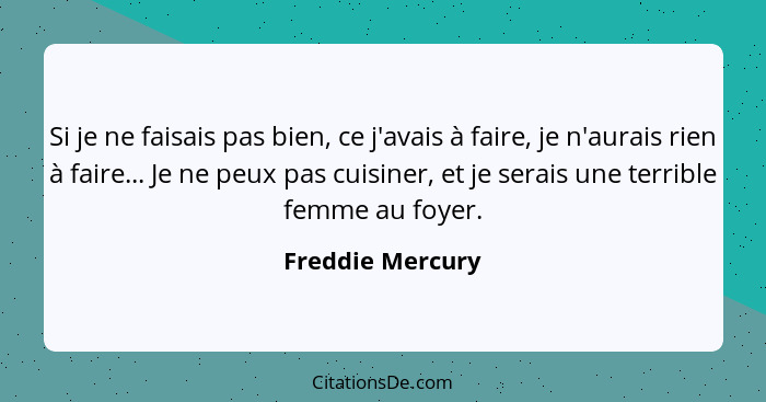 Si je ne faisais pas bien, ce j'avais à faire, je n'aurais rien à faire... Je ne peux pas cuisiner, et je serais une terrible femme... - Freddie Mercury