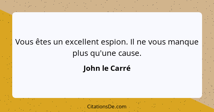 Vous êtes un excellent espion. Il ne vous manque plus qu'une cause.... - John le Carré