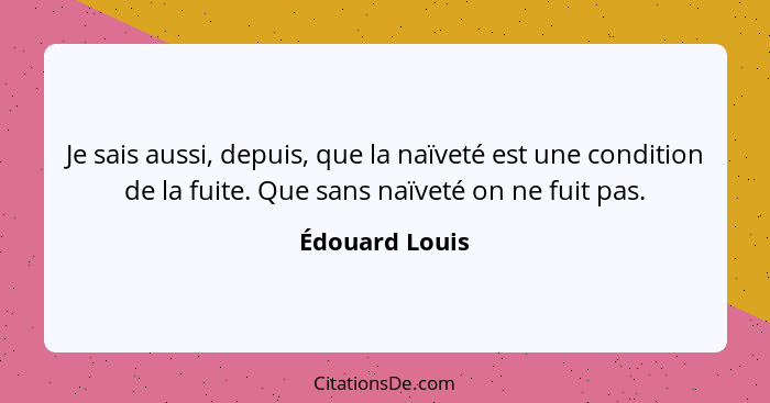 Je sais aussi, depuis, que la naïveté est une condition de la fuite. Que sans naïveté on ne fuit pas.... - Édouard Louis