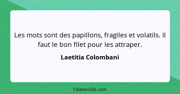 Les mots sont des papillons, fragiles et volatils. Il faut le bon filet pour les attraper.... - Laetitia Colombani