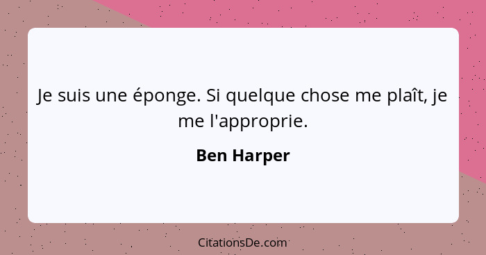 Je suis une éponge. Si quelque chose me plaît, je me l'approprie.... - Ben Harper