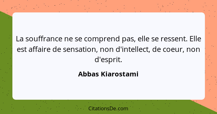 La souffrance ne se comprend pas, elle se ressent. Elle est affaire de sensation, non d'intellect, de coeur, non d'esprit.... - Abbas Kiarostami