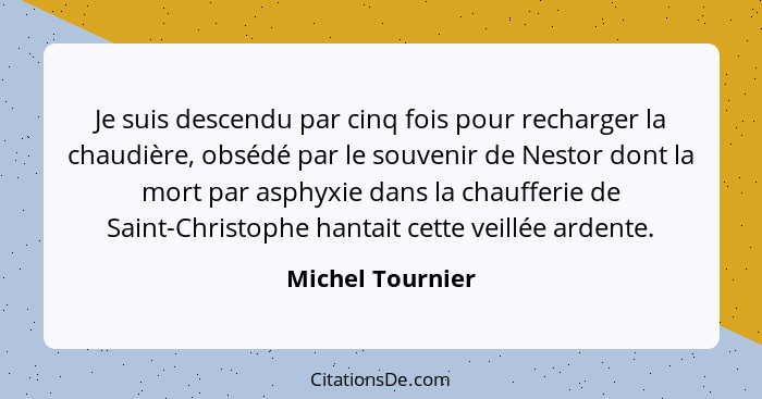 Je suis descendu par cinq fois pour recharger la chaudière, obsédé par le souvenir de Nestor dont la mort par asphyxie dans la chauf... - Michel Tournier