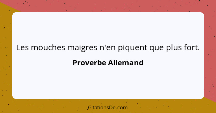 Les mouches maigres n'en piquent que plus fort.... - Proverbe Allemand