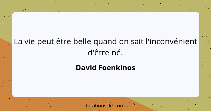 La vie peut être belle quand on sait l'inconvénient d'être né.... - David Foenkinos