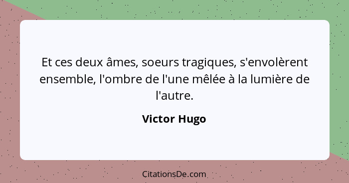 Et ces deux âmes, soeurs tragiques, s'envolèrent ensemble, l'ombre de l'une mêlée à la lumière de l'autre.... - Victor Hugo