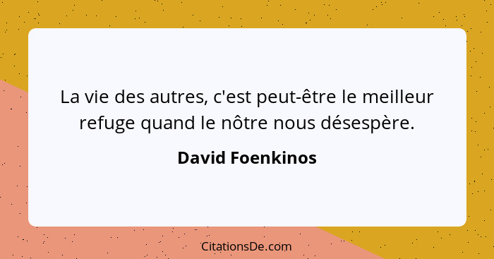 La vie des autres, c'est peut-être le meilleur refuge quand le nôtre nous désespère.... - David Foenkinos