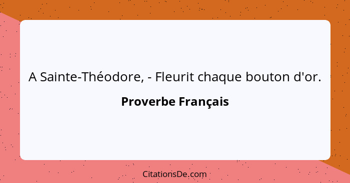 A Sainte-Théodore, - Fleurit chaque bouton d'or.... - Proverbe Français