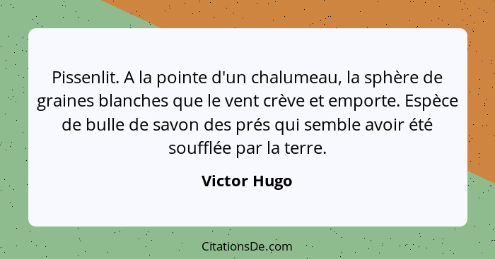 Pissenlit. A la pointe d'un chalumeau, la sphère de graines blanches que le vent crève et emporte. Espèce de bulle de savon des prés qui... - Victor Hugo