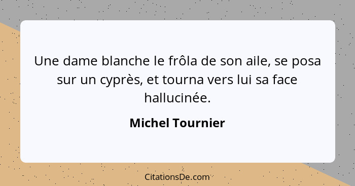 Une dame blanche le frôla de son aile, se posa sur un cyprès, et tourna vers lui sa face hallucinée.... - Michel Tournier