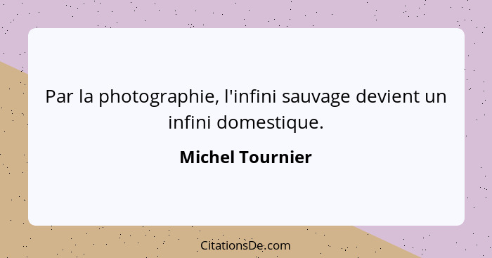 Par la photographie, l'infini sauvage devient un infini domestique.... - Michel Tournier
