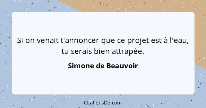 Si on venait t'annoncer que ce projet est à l'eau, tu serais bien attrapée.... - Simone de Beauvoir