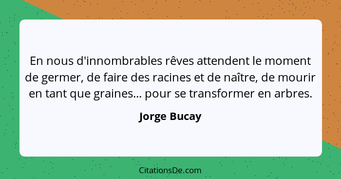 En nous d'innombrables rêves attendent le moment de germer, de faire des racines et de naître, de mourir en tant que graines... pour se... - Jorge Bucay