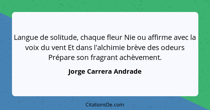 Langue de solitude, chaque fleur Nie ou affirme avec la voix du vent Et dans l'alchimie brève des odeurs Prépare son fragrant... - Jorge Carrera Andrade