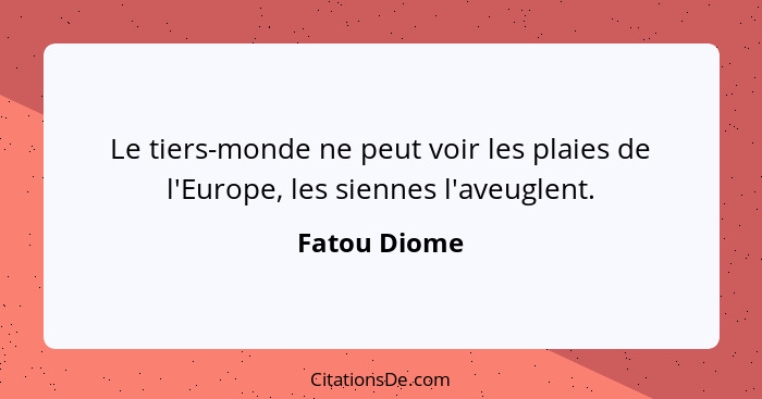 Le tiers-monde ne peut voir les plaies de l'Europe, les siennes l'aveuglent.... - Fatou Diome