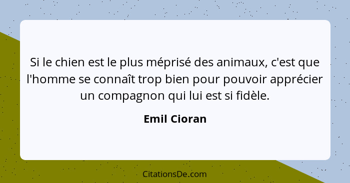 Si le chien est le plus méprisé des animaux, c'est que l'homme se connaît trop bien pour pouvoir apprécier un compagnon qui lui est si f... - Emil Cioran