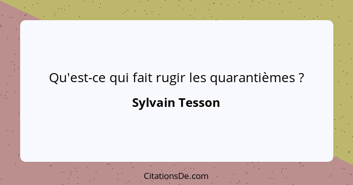 Qu'est-ce qui fait rugir les quarantièmes ?... - Sylvain Tesson