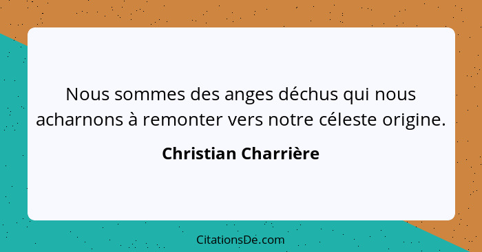 Nous sommes des anges déchus qui nous acharnons à remonter vers notre céleste origine.... - Christian Charrière