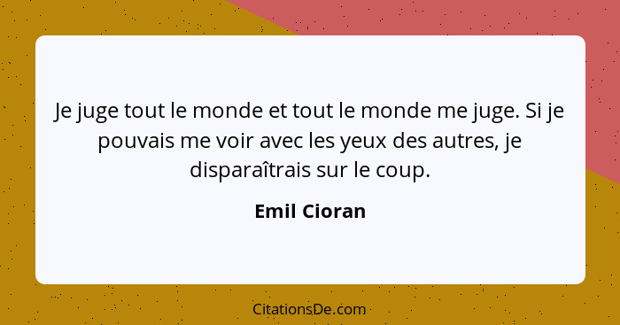 Je juge tout le monde et tout le monde me juge. Si je pouvais me voir avec les yeux des autres, je disparaîtrais sur le coup.... - Emil Cioran