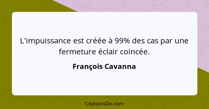 L'impuissance est créée à 99% des cas par une fermeture éclair coincée.... - François Cavanna