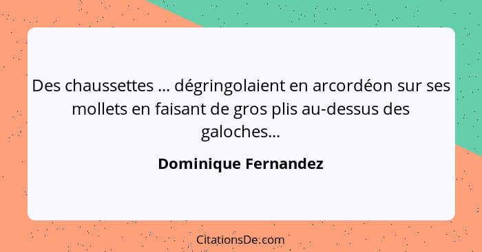 Des chaussettes ... dégringolaient en arcordéon sur ses mollets en faisant de gros plis au-dessus des galoches...... - Dominique Fernandez