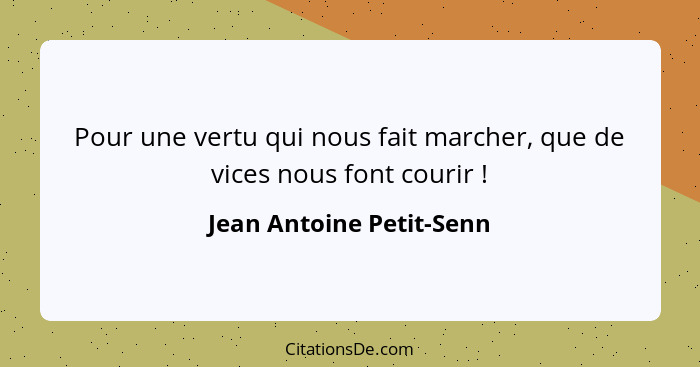 Pour une vertu qui nous fait marcher, que de vices nous font courir !... - Jean Antoine Petit-Senn