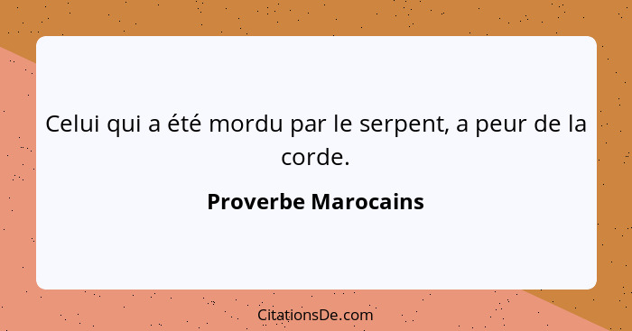 Celui qui a été mordu par le serpent, a peur de la corde.... - Proverbe Marocains