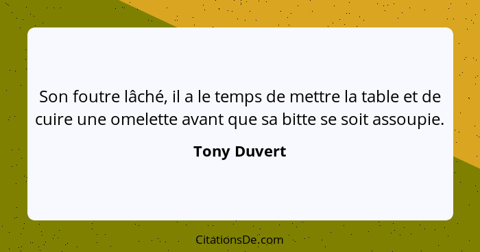 Son foutre lâché, il a le temps de mettre la table et de cuire une omelette avant que sa bitte se soit assoupie.... - Tony Duvert