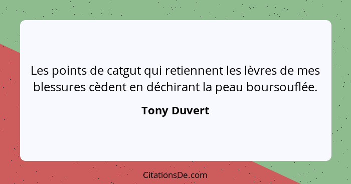 Les points de catgut qui retiennent les lèvres de mes blessures cèdent en déchirant la peau boursouflée.... - Tony Duvert